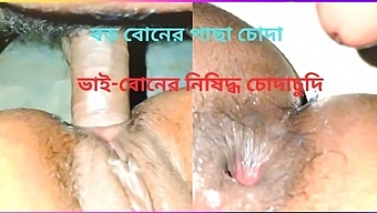 Bhabhisexvideohd - Bangladesh bhabhi sex video hd Porn Videos - VPorn